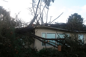 Tree fell through roof